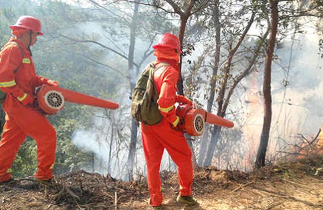 森林防火应急指挥调度系统